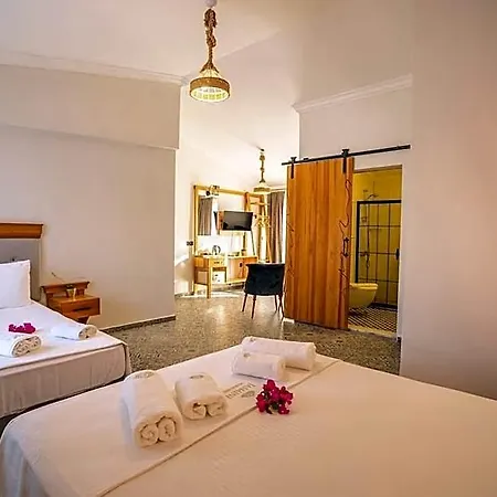 Hotel Arya 3*